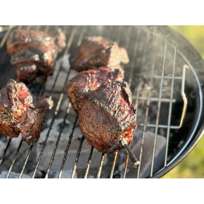 Ασύρματο Θερμόμετρο Vestemp BP20 με Bluetooth & WiFi (25–98°C)