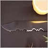 Μαχαίρι Κατεψυγμένων 22 εκ. Chef Series